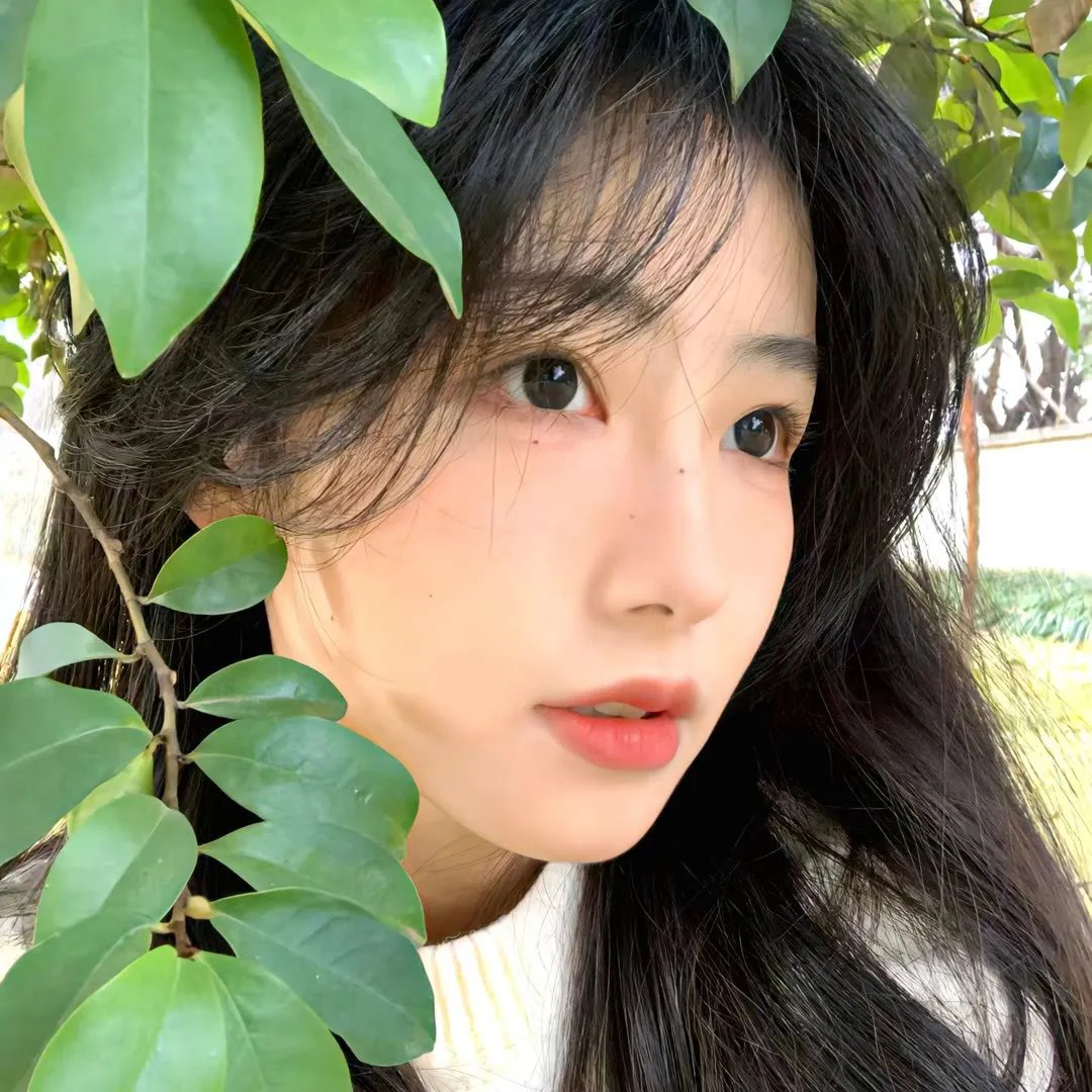 鬼蕉树